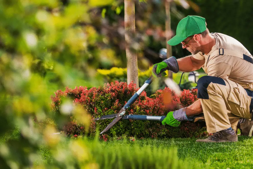 Top Landscape Contractor