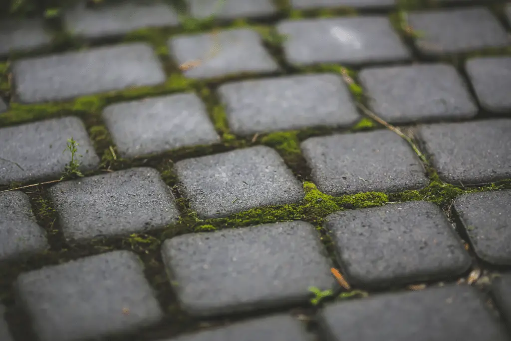 Pavers san jose