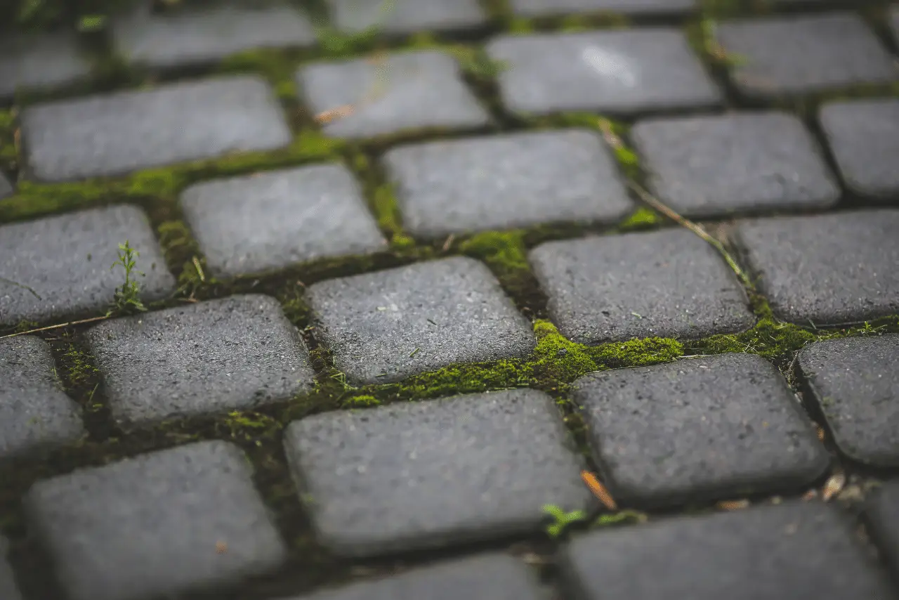 Pavers san jose